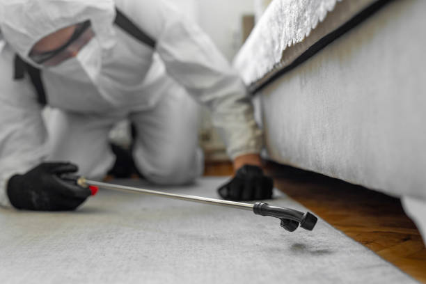 Professional Pest Control technician working in Lake of the Woods, AZ