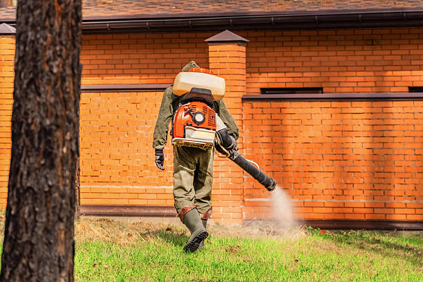 Trusted Mosquito Control service in Lake of the Woods, AZ - Nex Pest Control